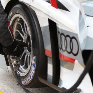 Michelin en el Campeonato del Mundo FIA Endurance 2013